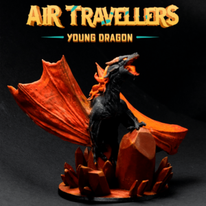 Young Air Dragon