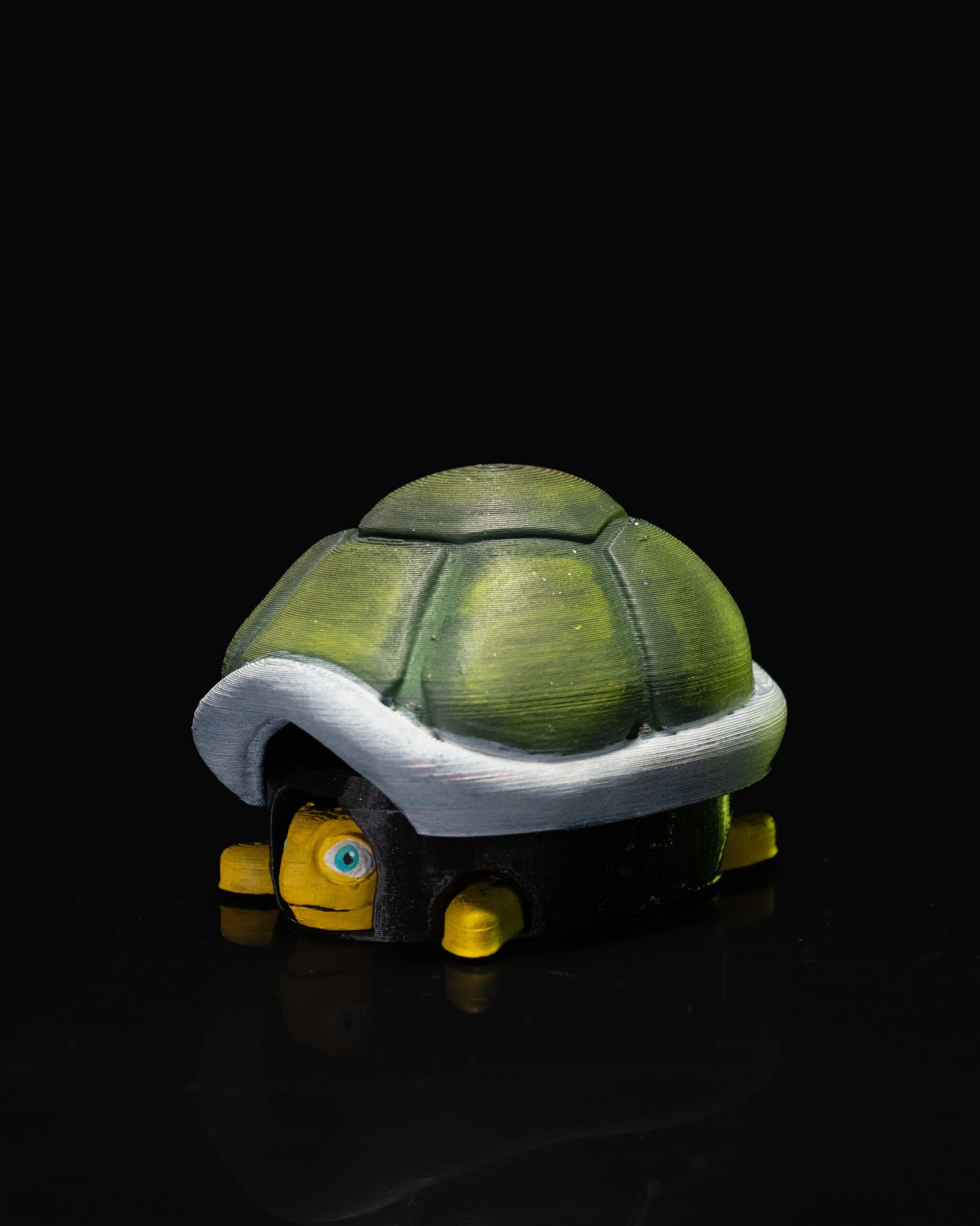 Retractable Sleepy Turtle - Image 3