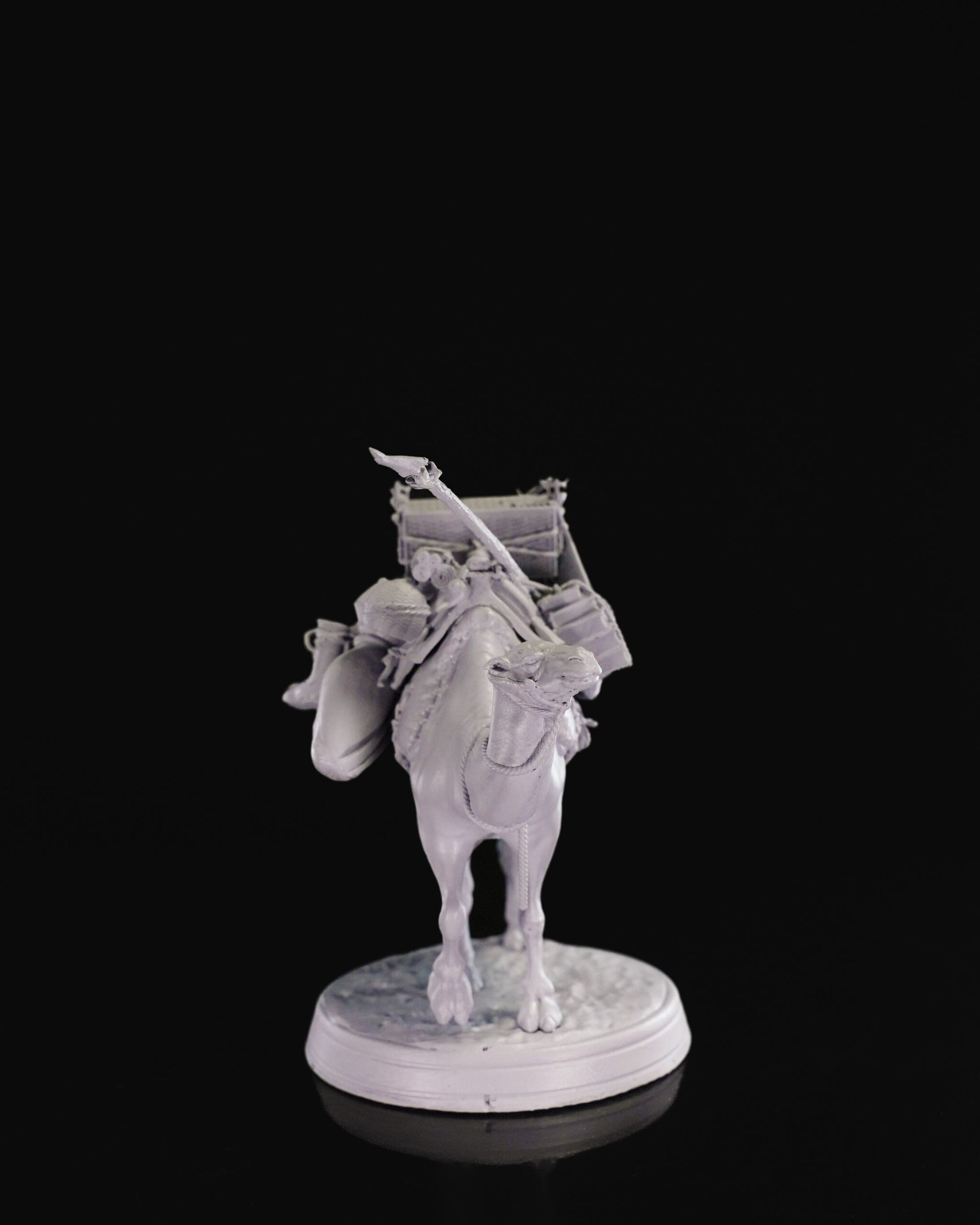 Pack Camel - Image 6