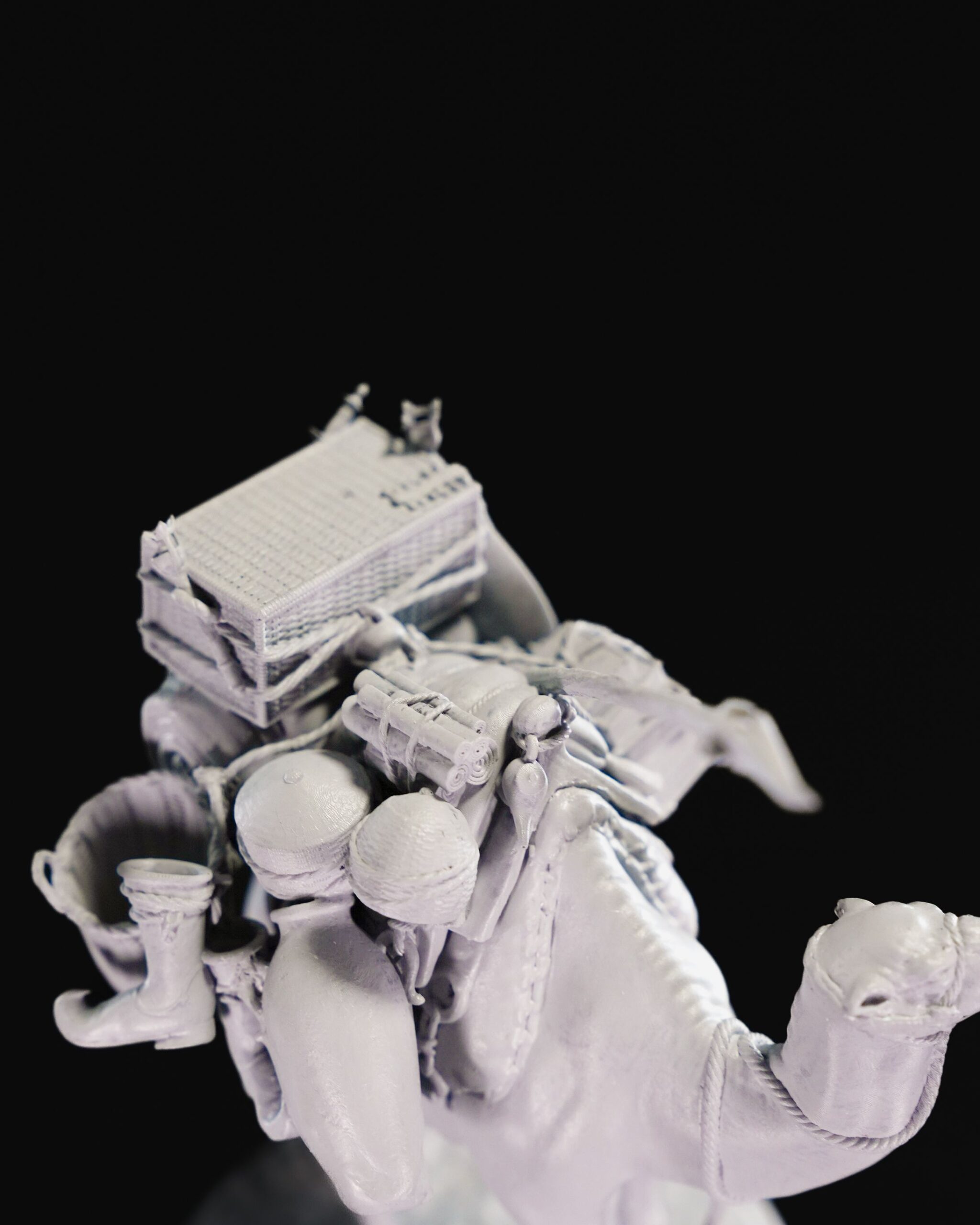 Pack Camel - Image 5