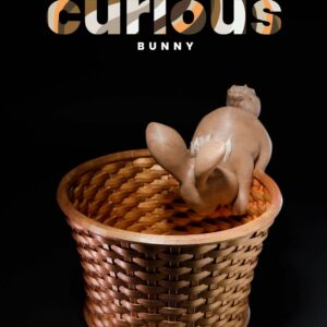 Easter Bunny Baskets - Curious Bunny