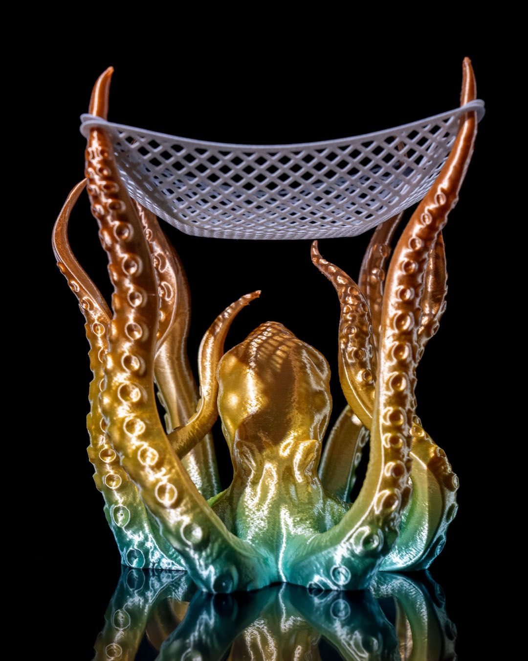 Fishing Net Drama - Image 3