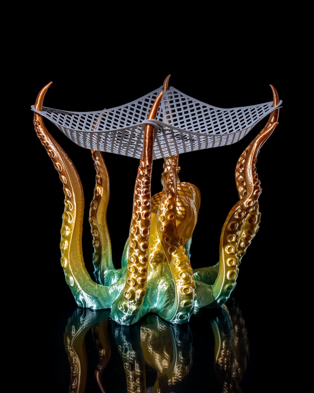 Fishing Net Drama - Image 5