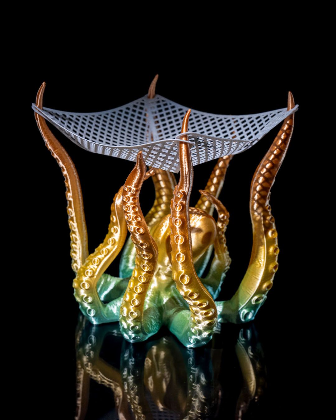 Fishing Net Drama - Image 6