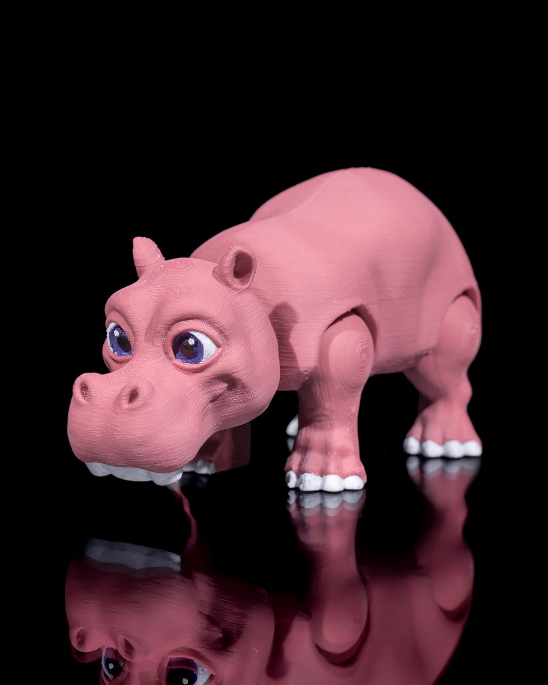 Hippo - Image 2