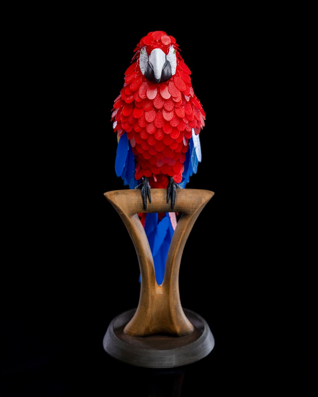 Macaw Feather Puzzle - Image 2