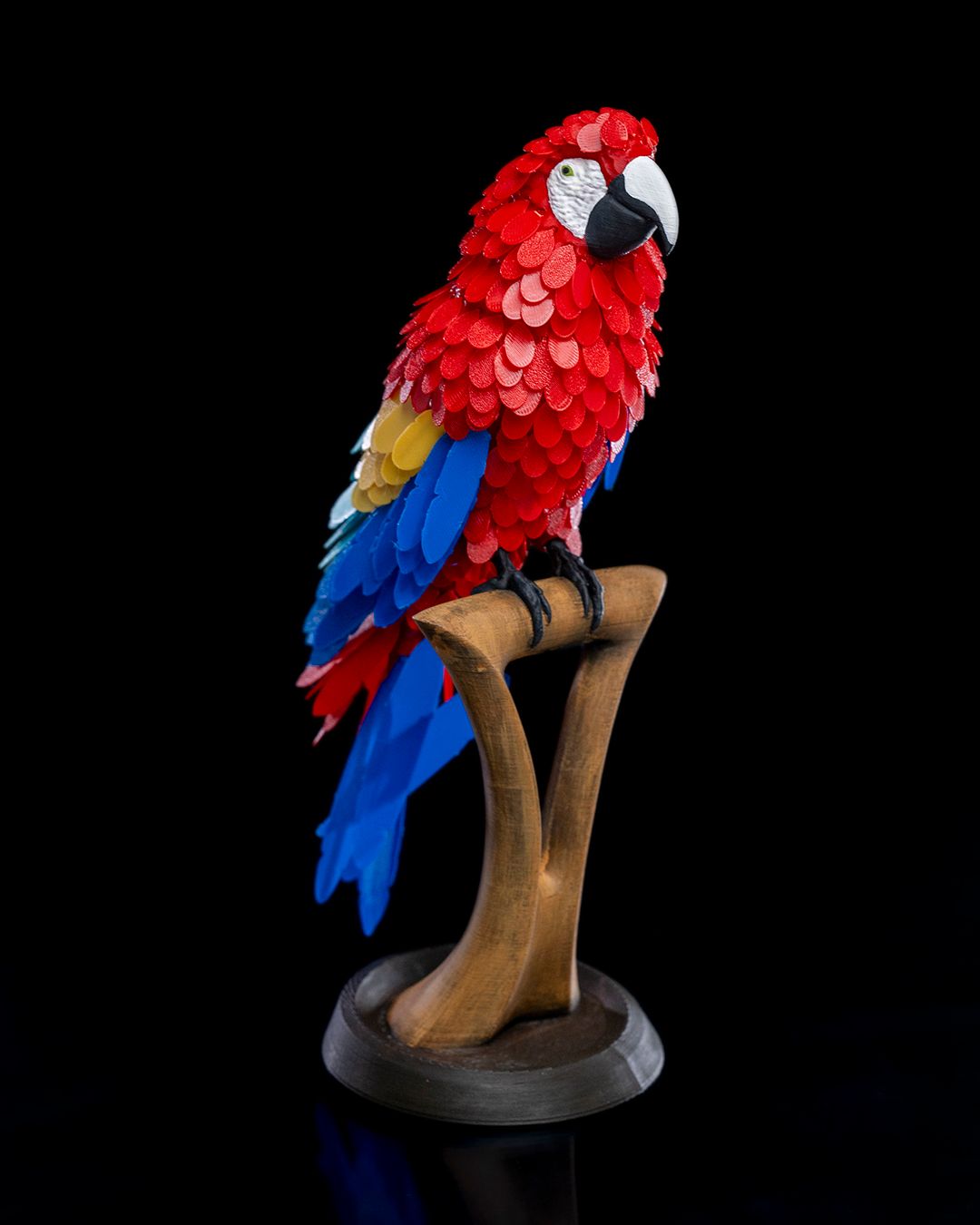 Macaw Feather Puzzle - Image 3