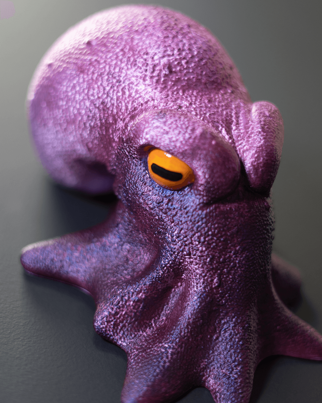 Cabideiro Polvo Design na impressora 3D - Octopus Hanger - Image 3