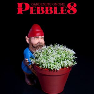 Gardening Gnome - Pebbles
