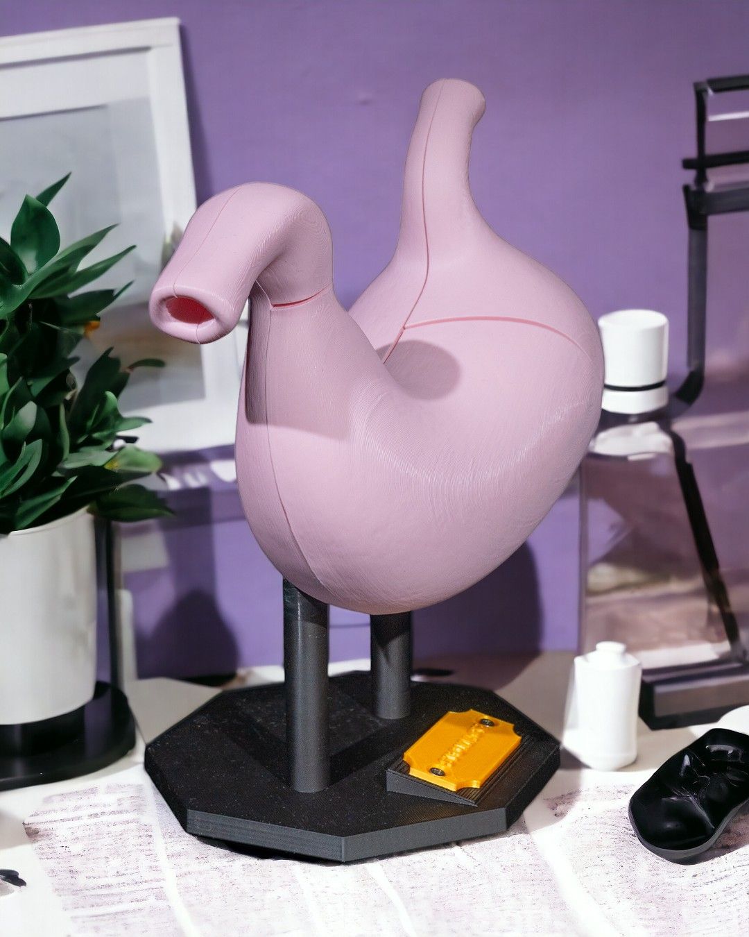 Stomach Anatomical Model - Image 5