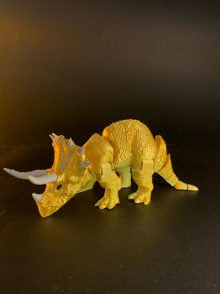 Triceratops - Image 4