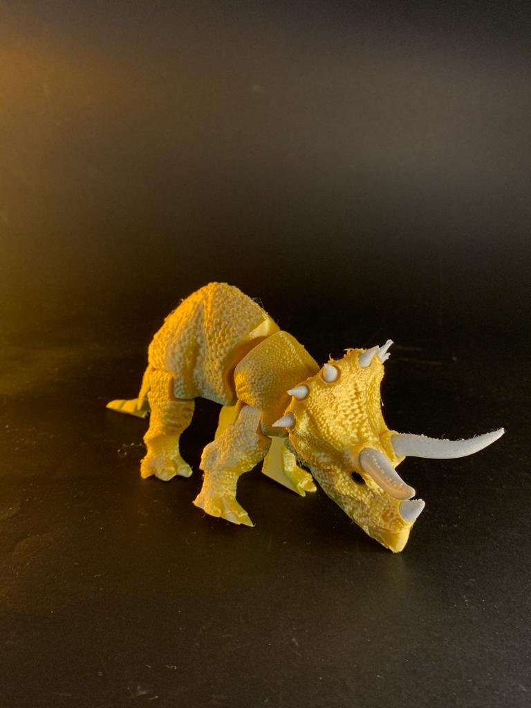 Triceratops - Image 2