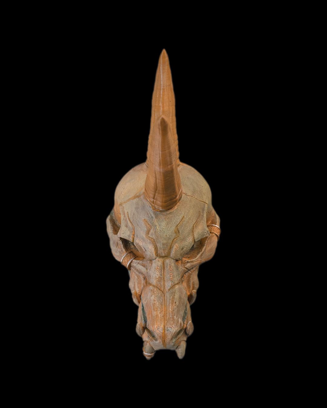 Black Dragon Skull - Image 2