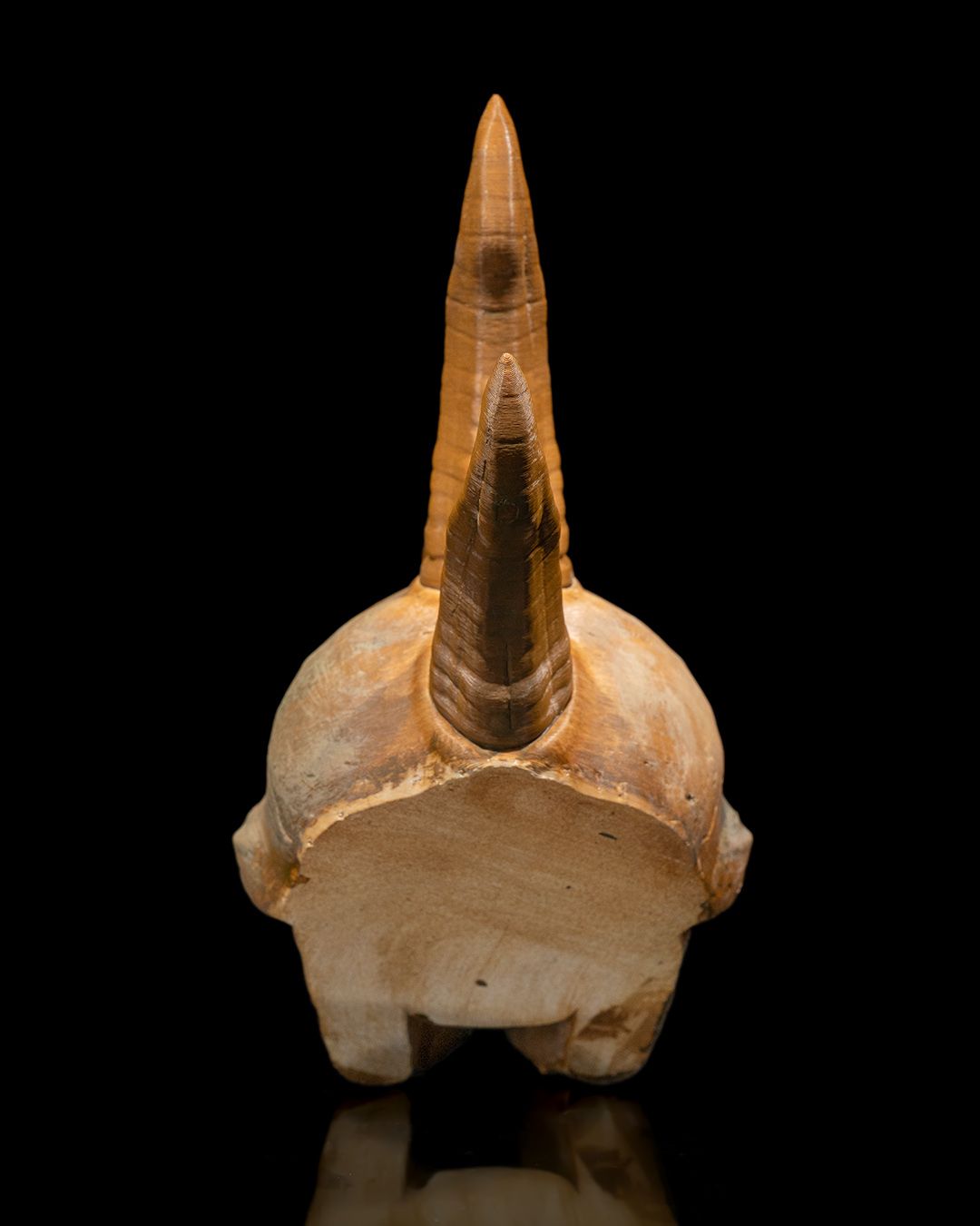 Black Dragon Skull - Image 11