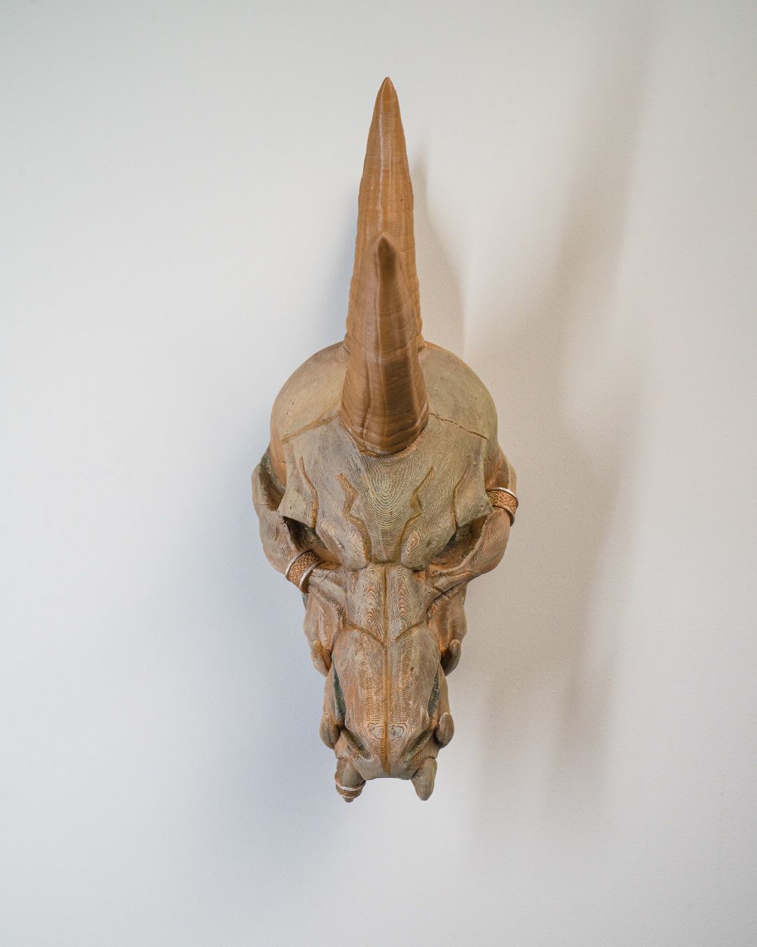 Black Dragon Skull - Image 12