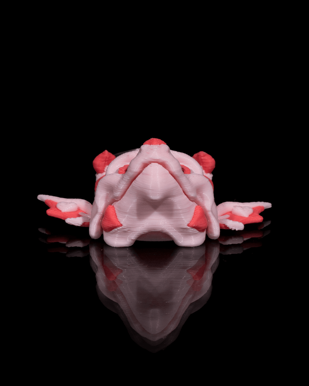 Coração de Dragão - Image 5