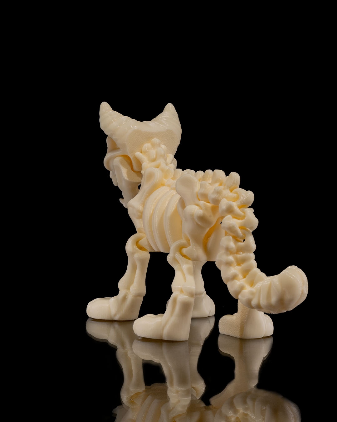 Skeleton Cat - Image 6
