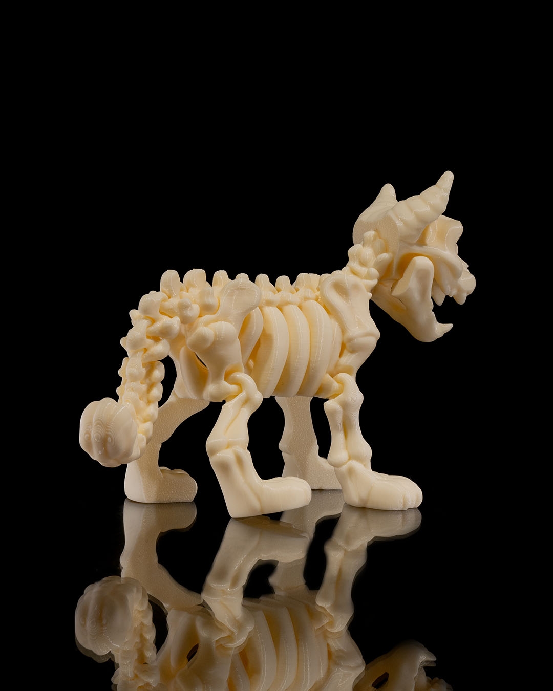 Skeleton Cat - Image 7
