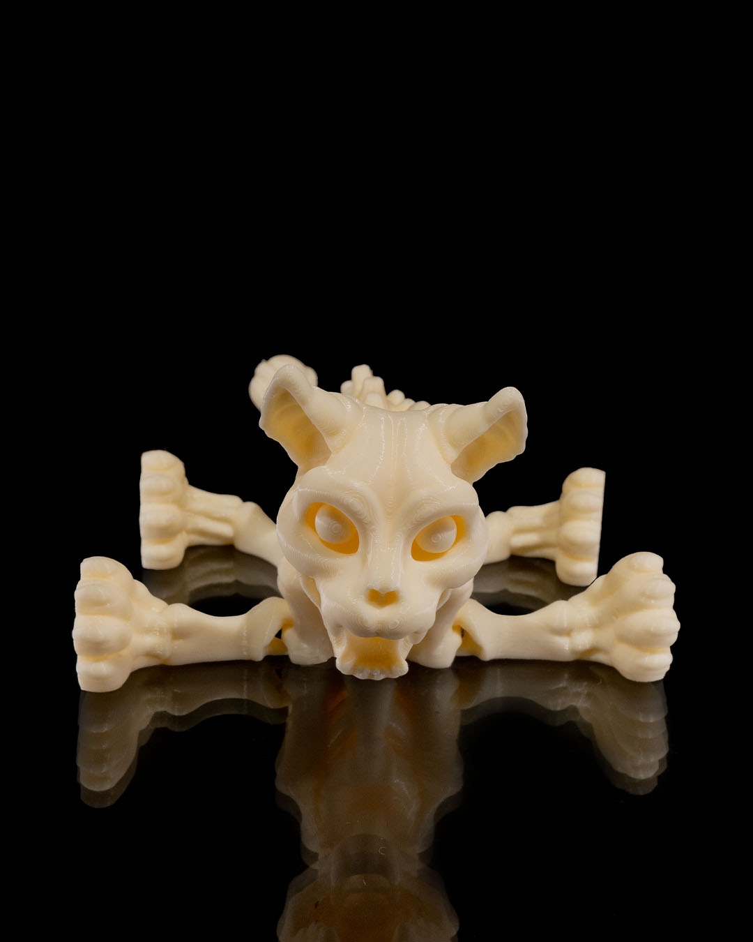Skeleton Cat - Image 8