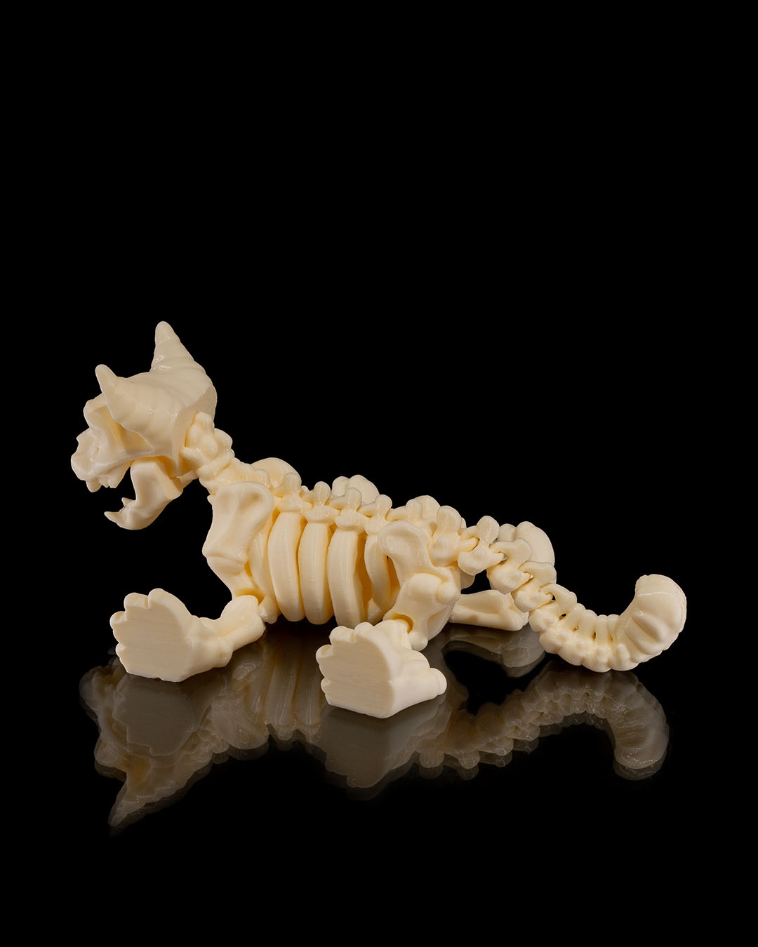 Skeleton Cat - Image 9
