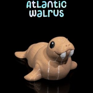 Keychain - Atlantic Walrus