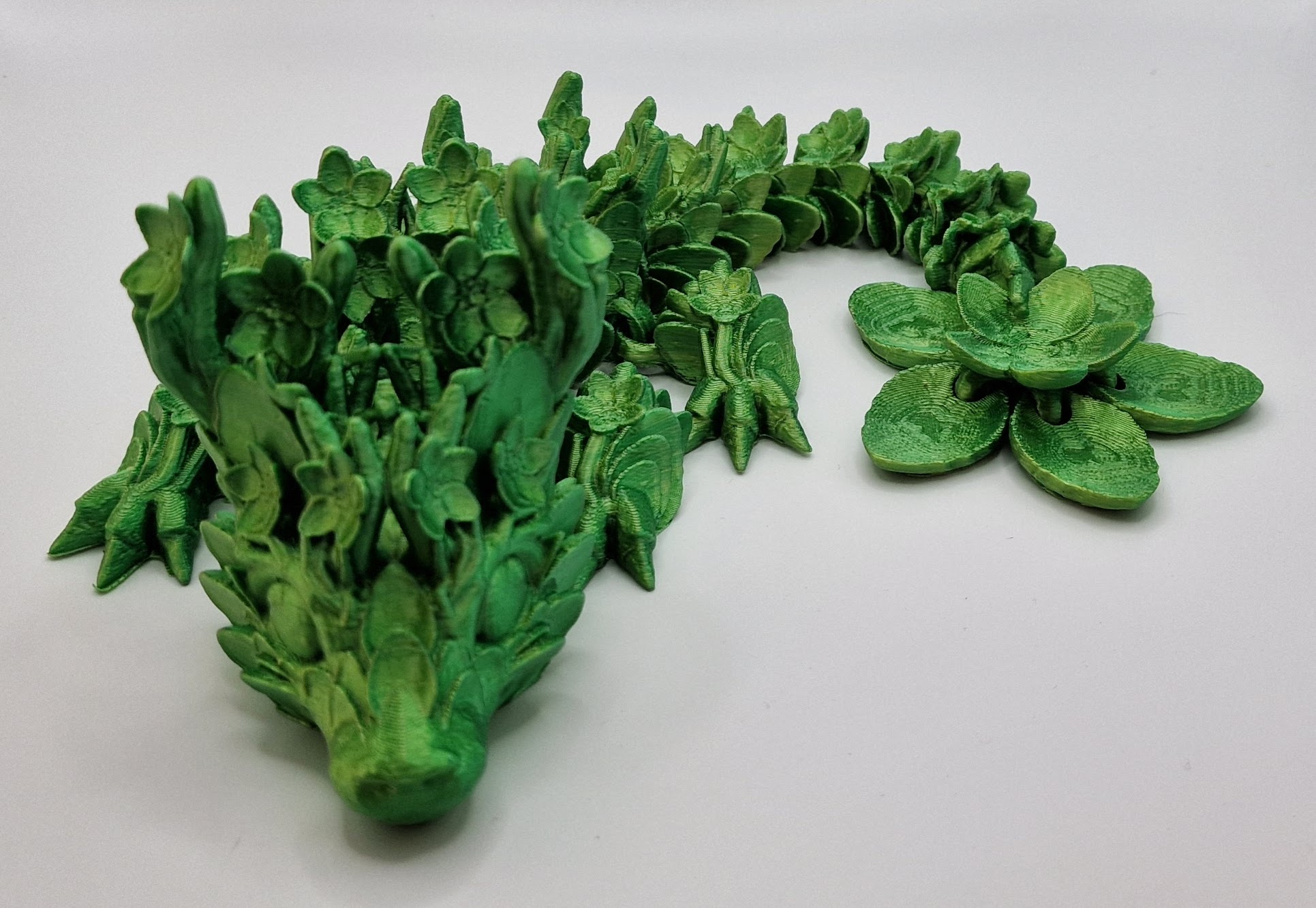 Cherry Blossom Dragon