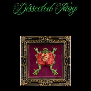 Dissected Frog