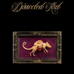 Dissected Rat