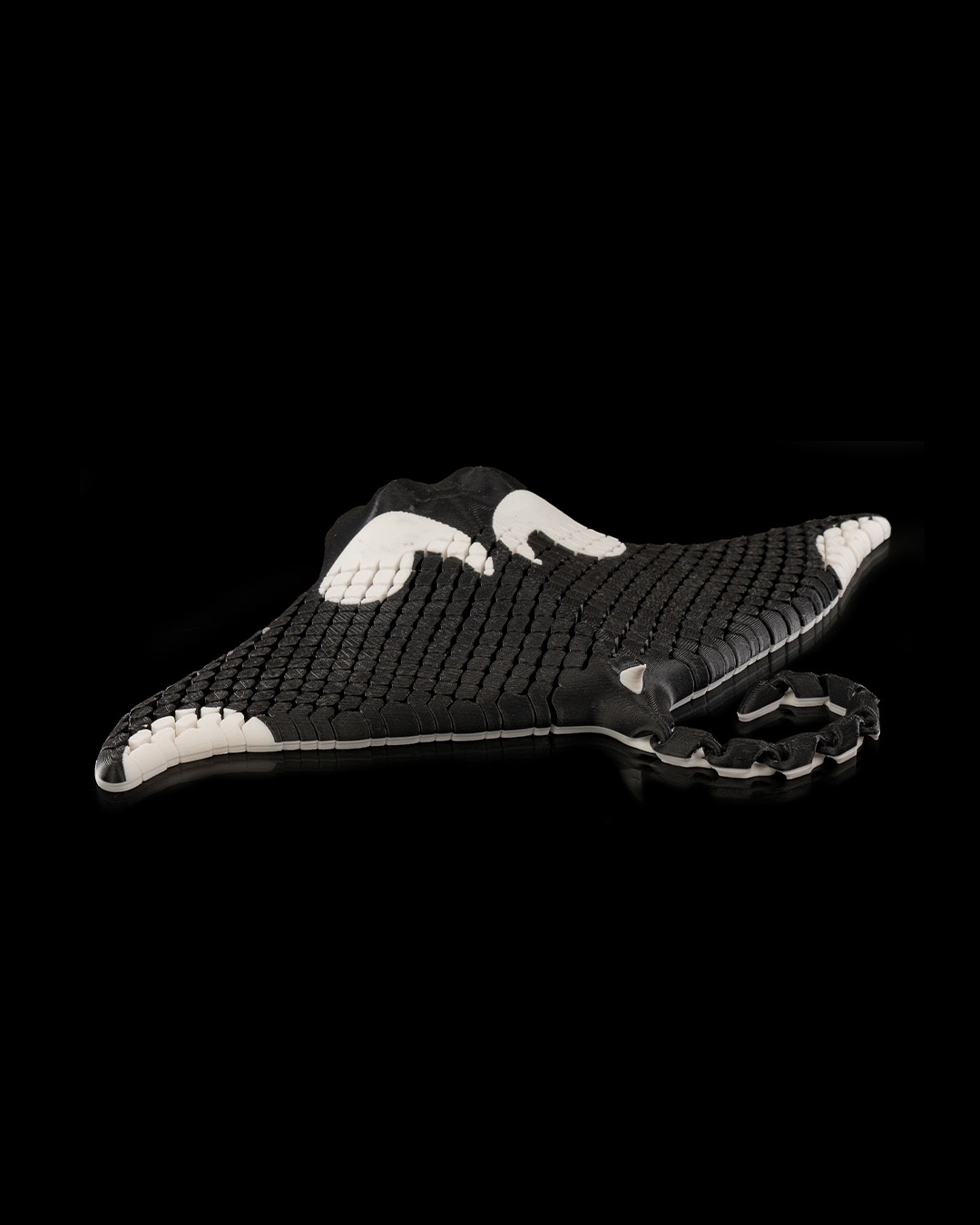 Manny, the Manta Ray - Image 5