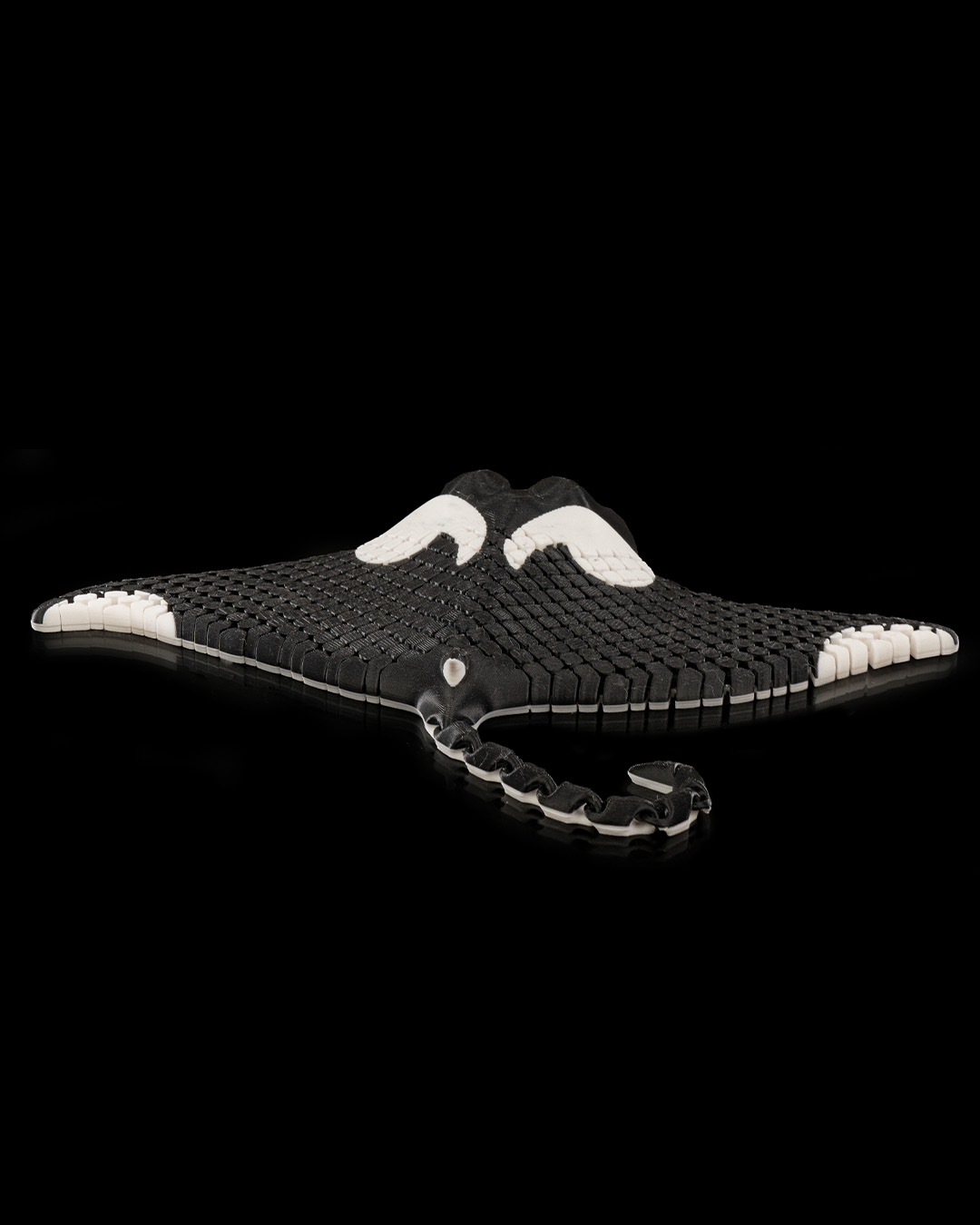 Manny, the Manta Ray - Image 6