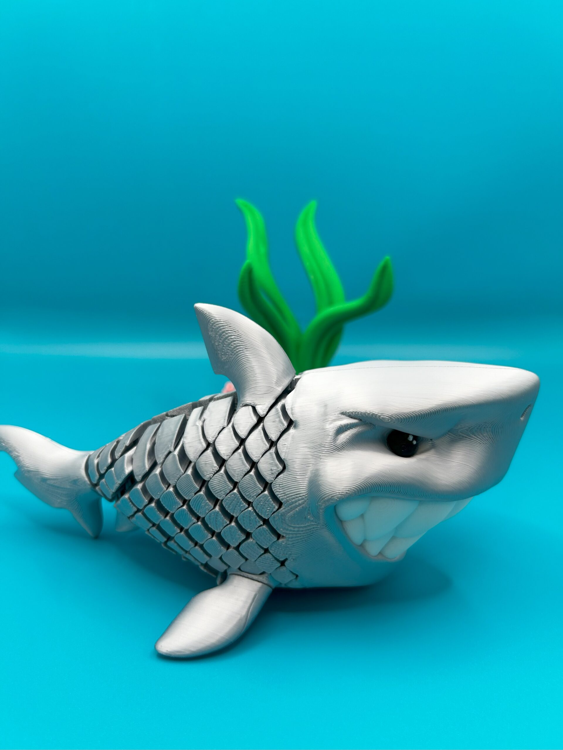 Travis, the Silver Shark - Image 3