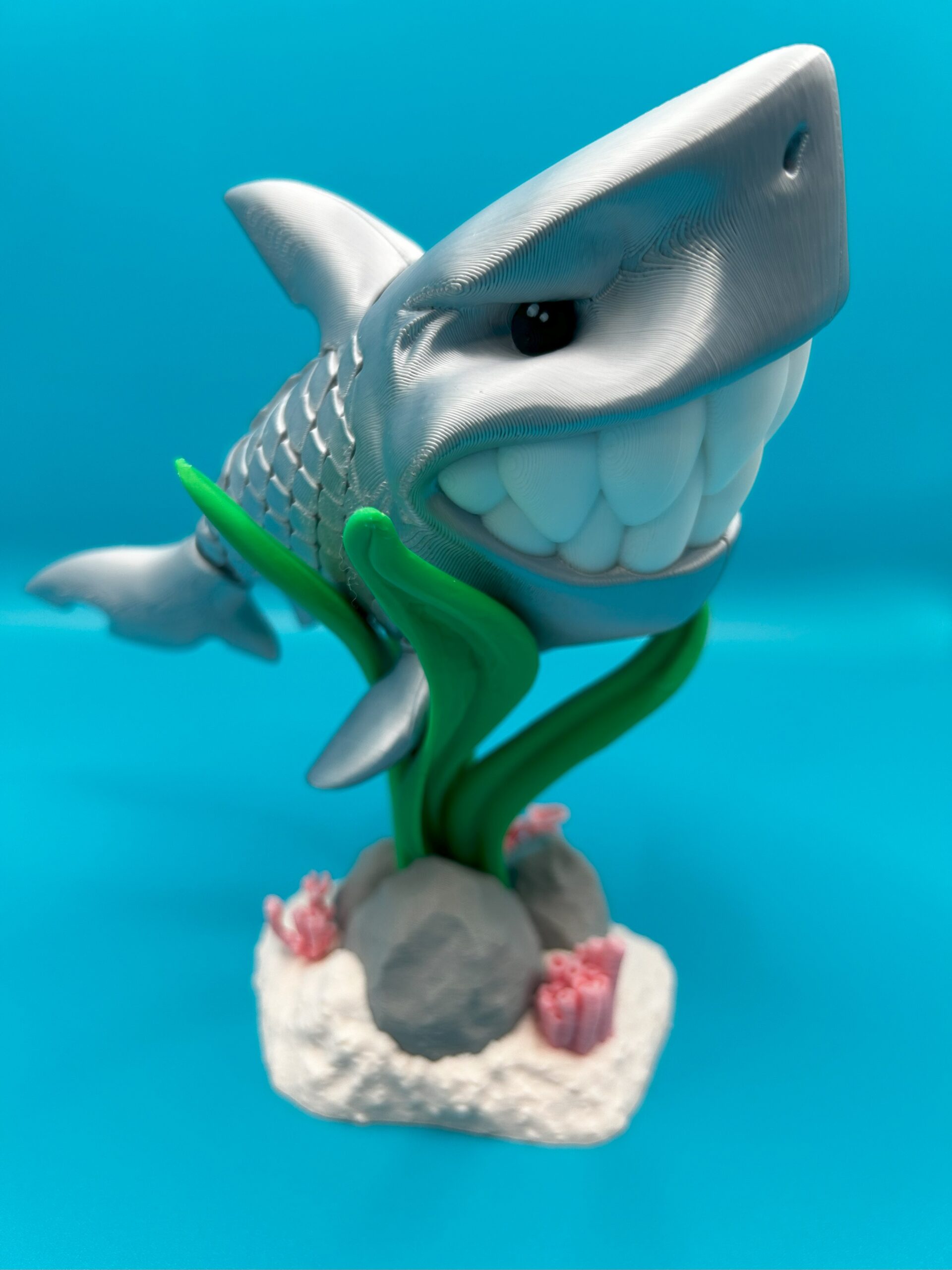 Travis, the Silver Shark - Image 5