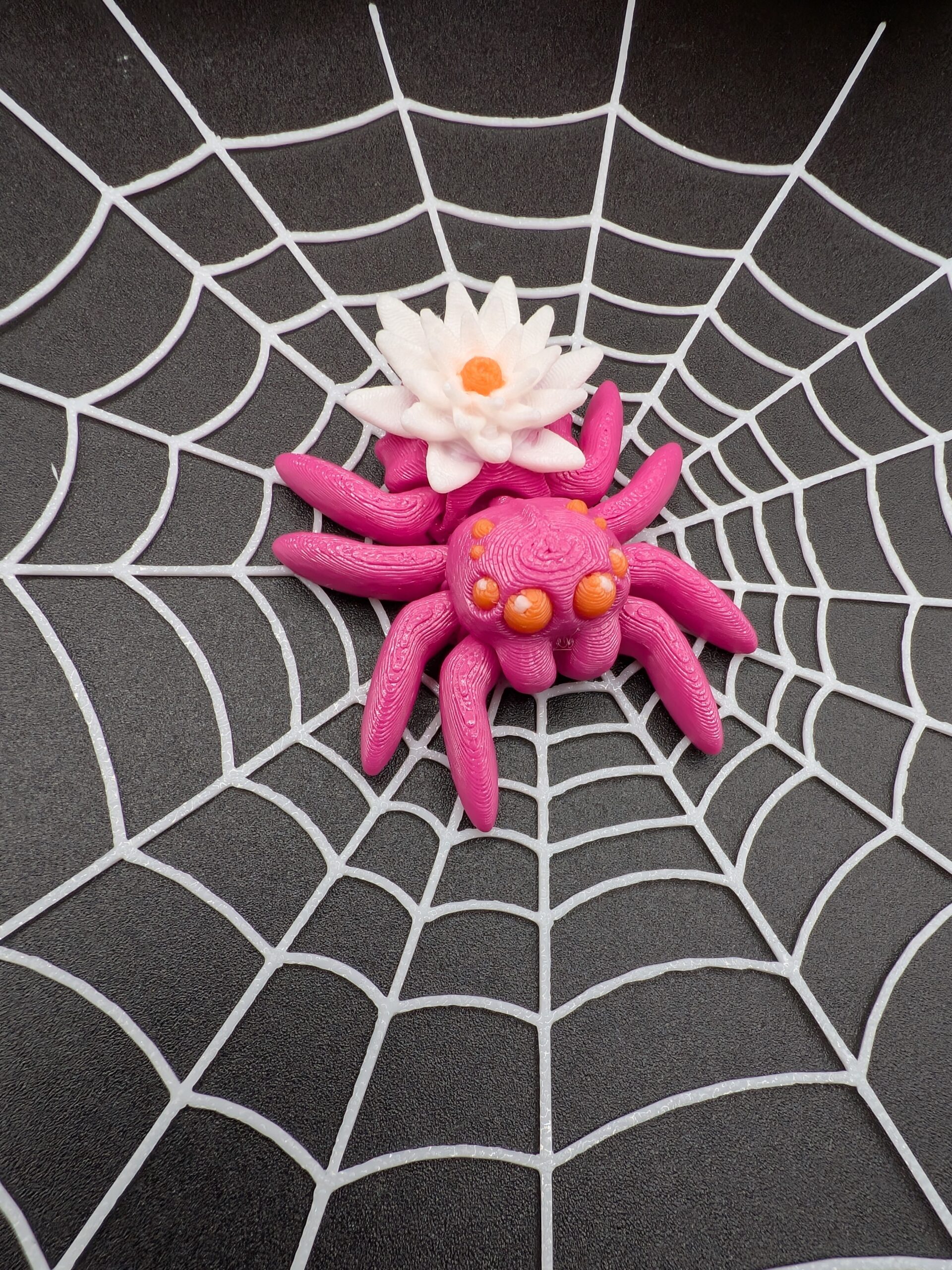 Articulated Spider Collection - Image 3