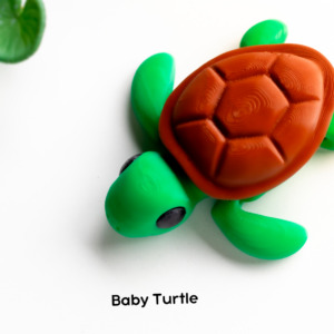 Baby Sea Turtle