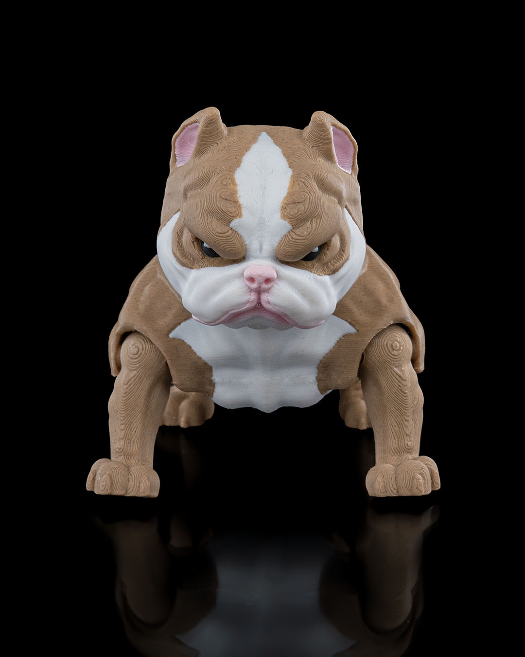 American Bully - Image 2
