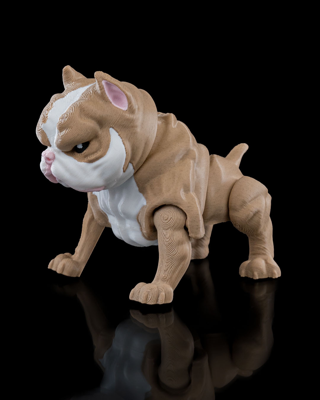 American Bully - Image 3