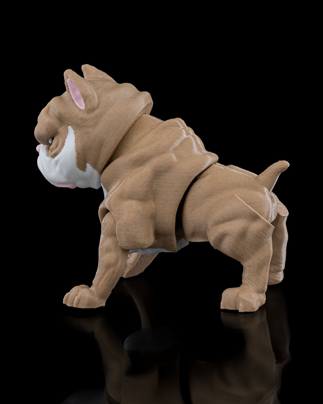 American Bully - Image 4