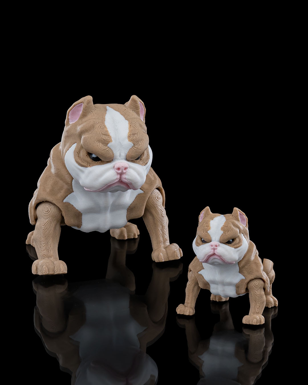 American Bully - Image 8