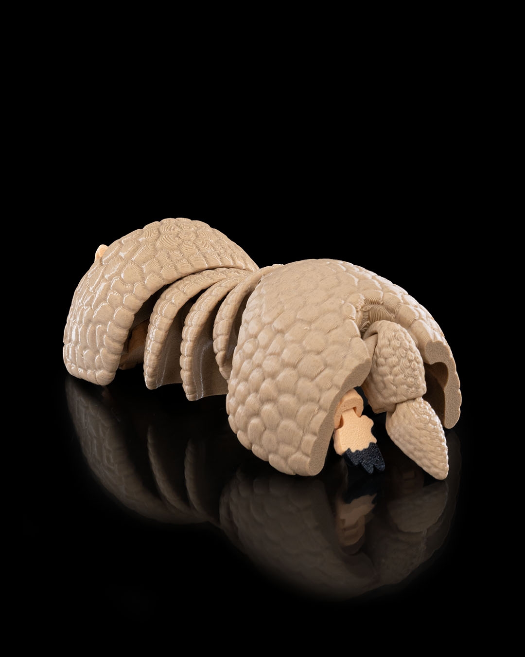 Armadillo - Image 3