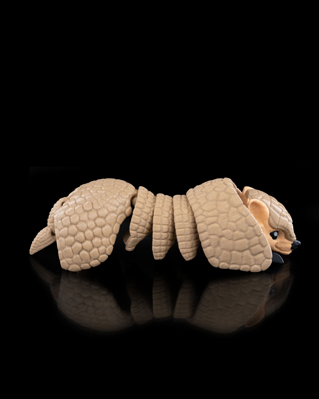 Armadillo - Image 5