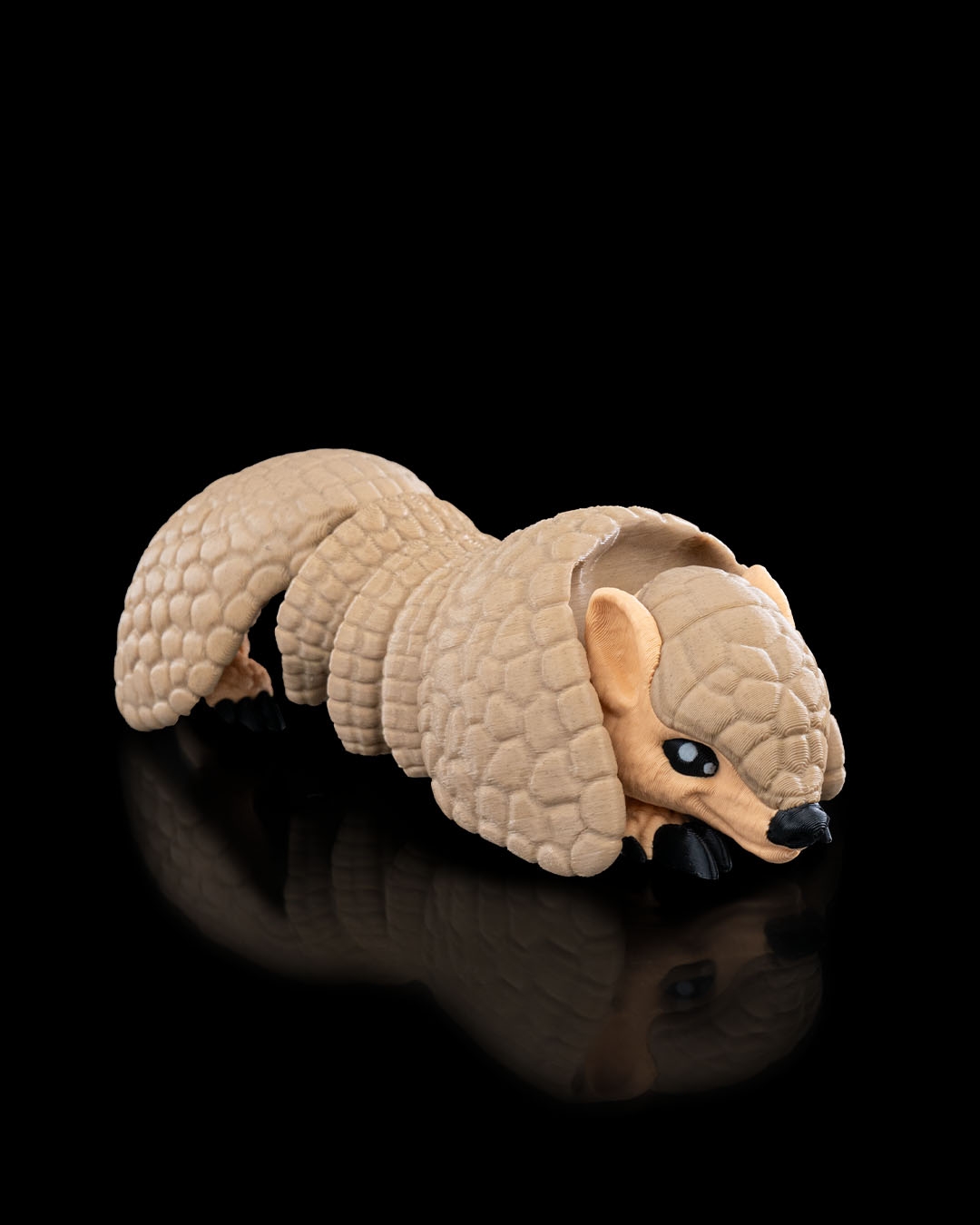 Armadillo - Image 6