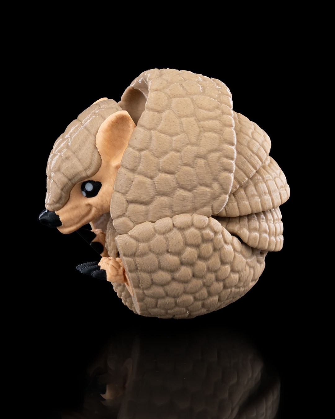 Armadillo - Image 8