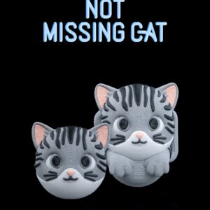 Dije No missing Cat