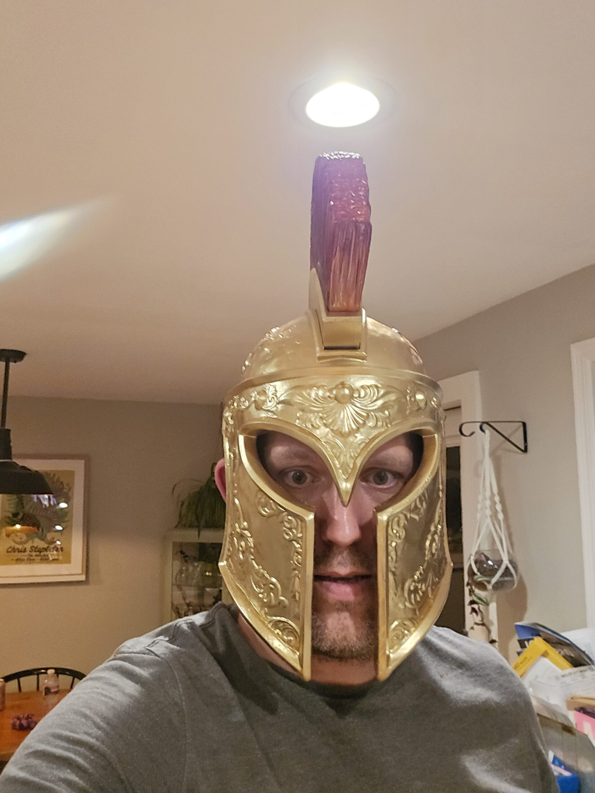 Spartan Helmet - Image 4