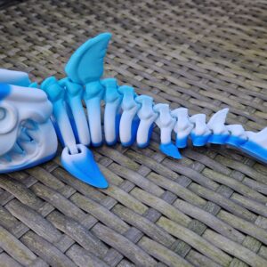 Shark Skeleton