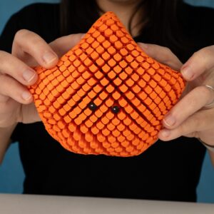 Betsi the bat star fish