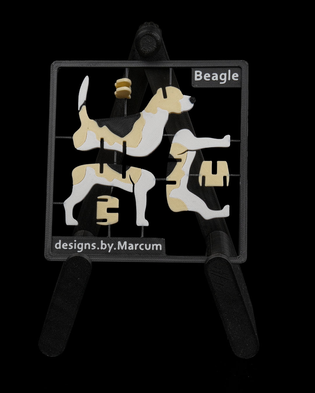 Beagle - Image 8