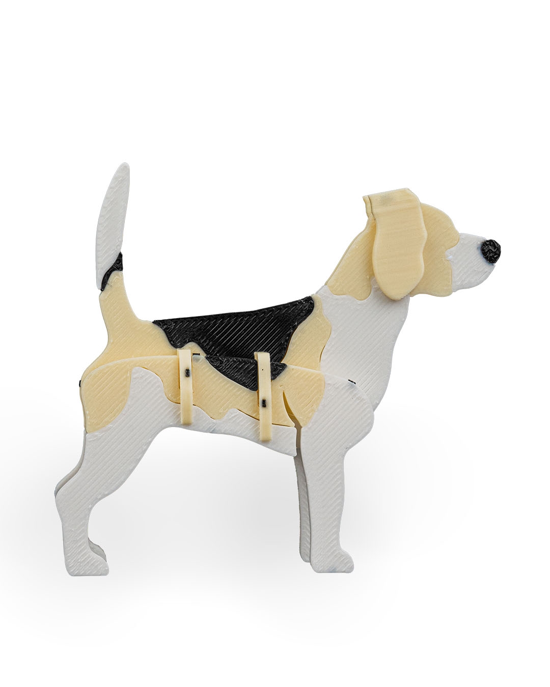 Beagle - Image 9