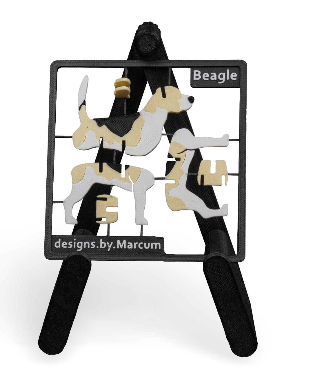 Beagle - Image 15