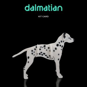 Dalmatian Kit Card